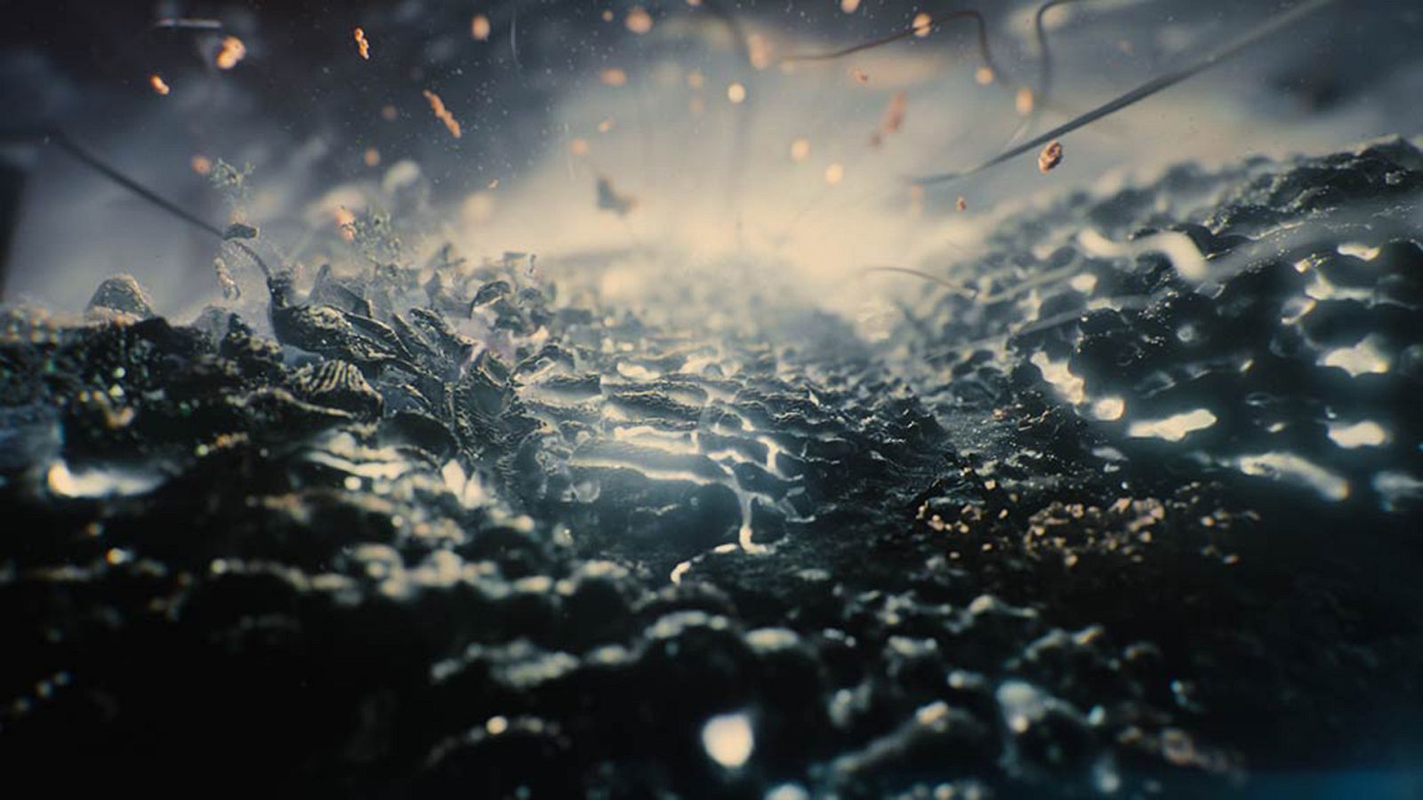 Nuestro planeta - Episodio 3: Escudo - ver ahora