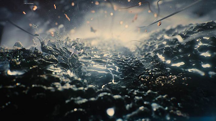 Nuestro planeta - Escudo