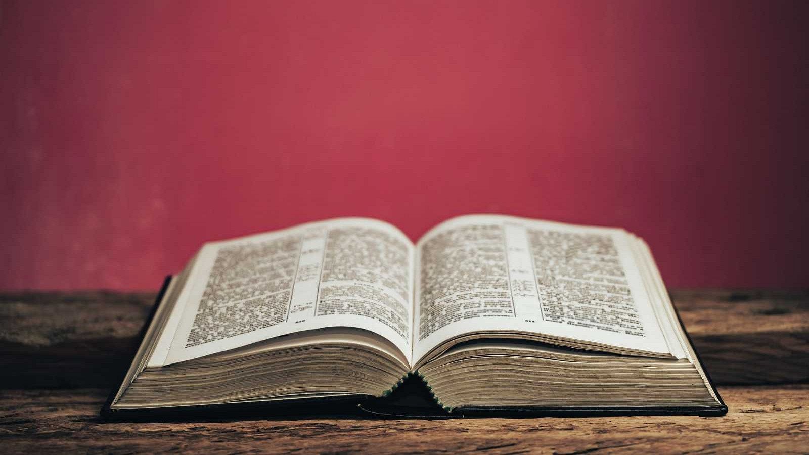 "Nueva normalidad", "bot" o "cachopo" entran en el Diccionario de la RAE | Ver