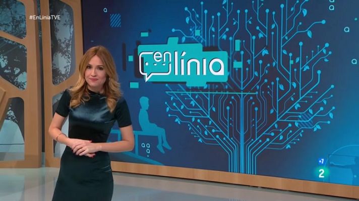 En Línia - Concerts del 2022, dades i edatisme