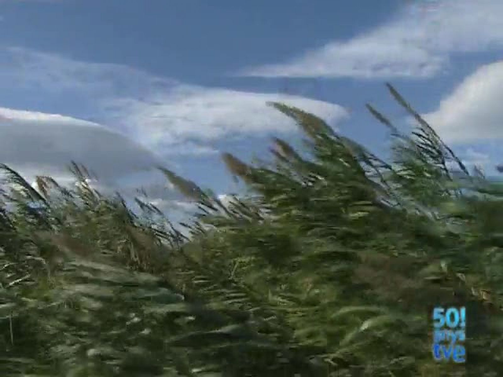 El Temps vespre (09/11/09)