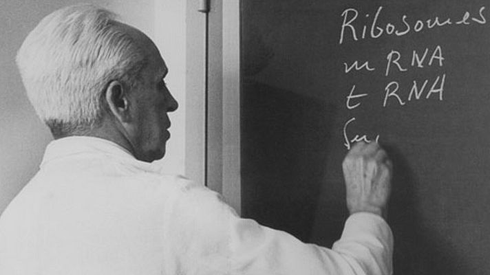 Órbita Laika - Curiosidades científicas - Severo Ochoa