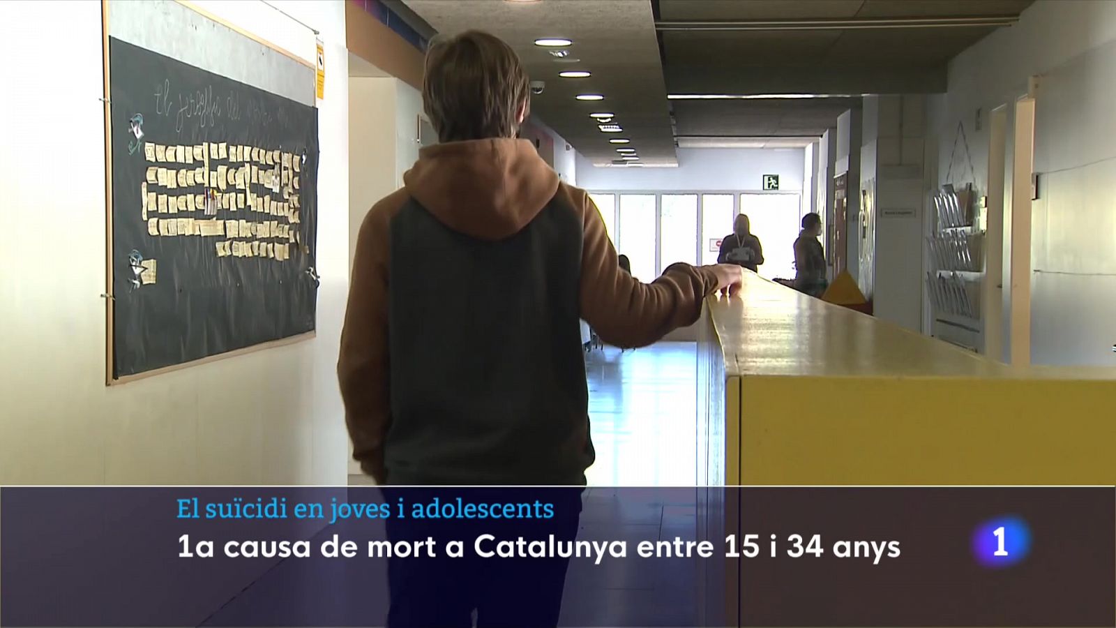 El suïcidi en joves: la primera causa de mort a Catalunya entre els 15 i 34 anys  - veure ara