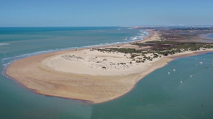 Localizan una estructura que podría ser el templo de Melqart y Hércules