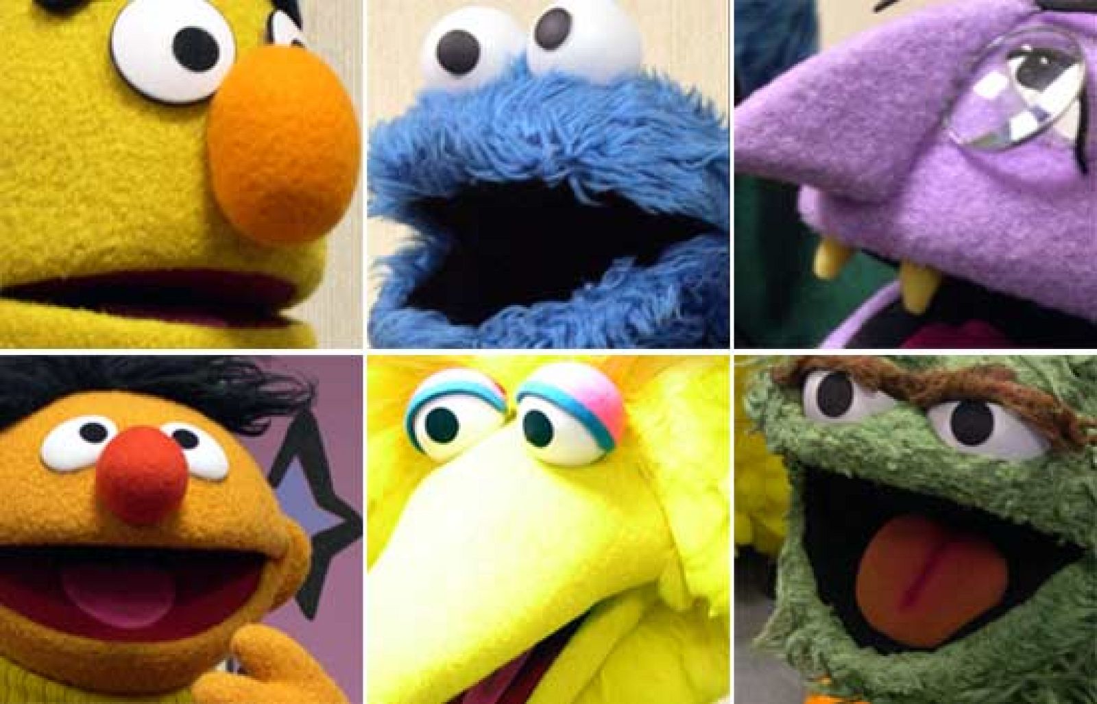 El 10 de noviembre de 1969, la televisión estadounidense emitió el primer episodio de un programa educativo que ha marcado a millones de espectadores en todo el mundo. (10/11/09)