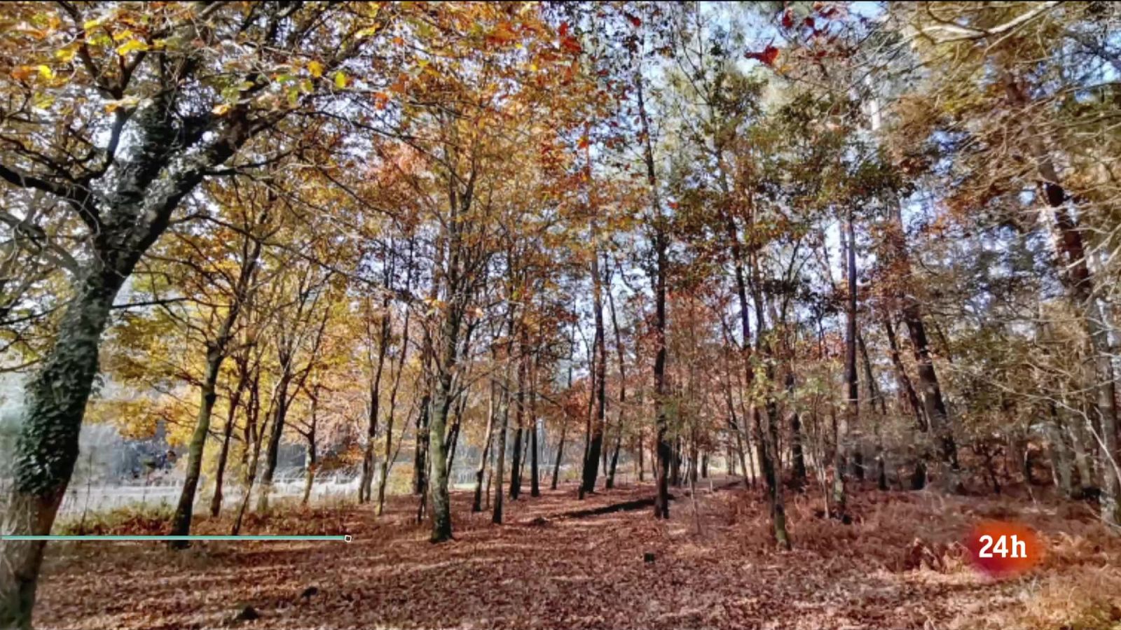 Nuboso o con intervalos nubosos en todo el área mediterránea, cuenca del Ebro y cuadrante sureste peninsular - ver ahora