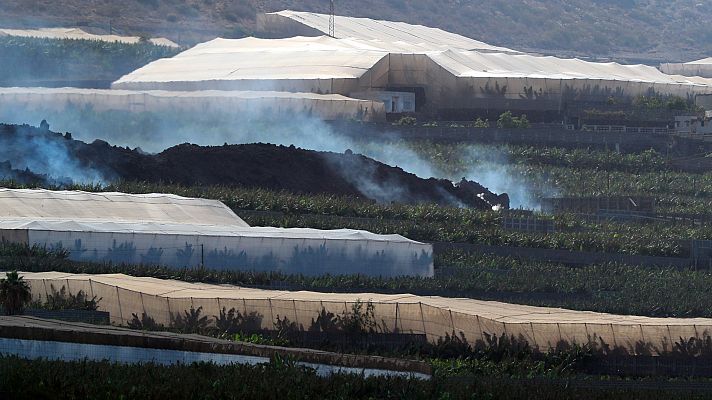 Telediario Fin de Semana - Las plataneras de La Palma se ahogan en ceniza: "A igual producción un 40% más de coste"