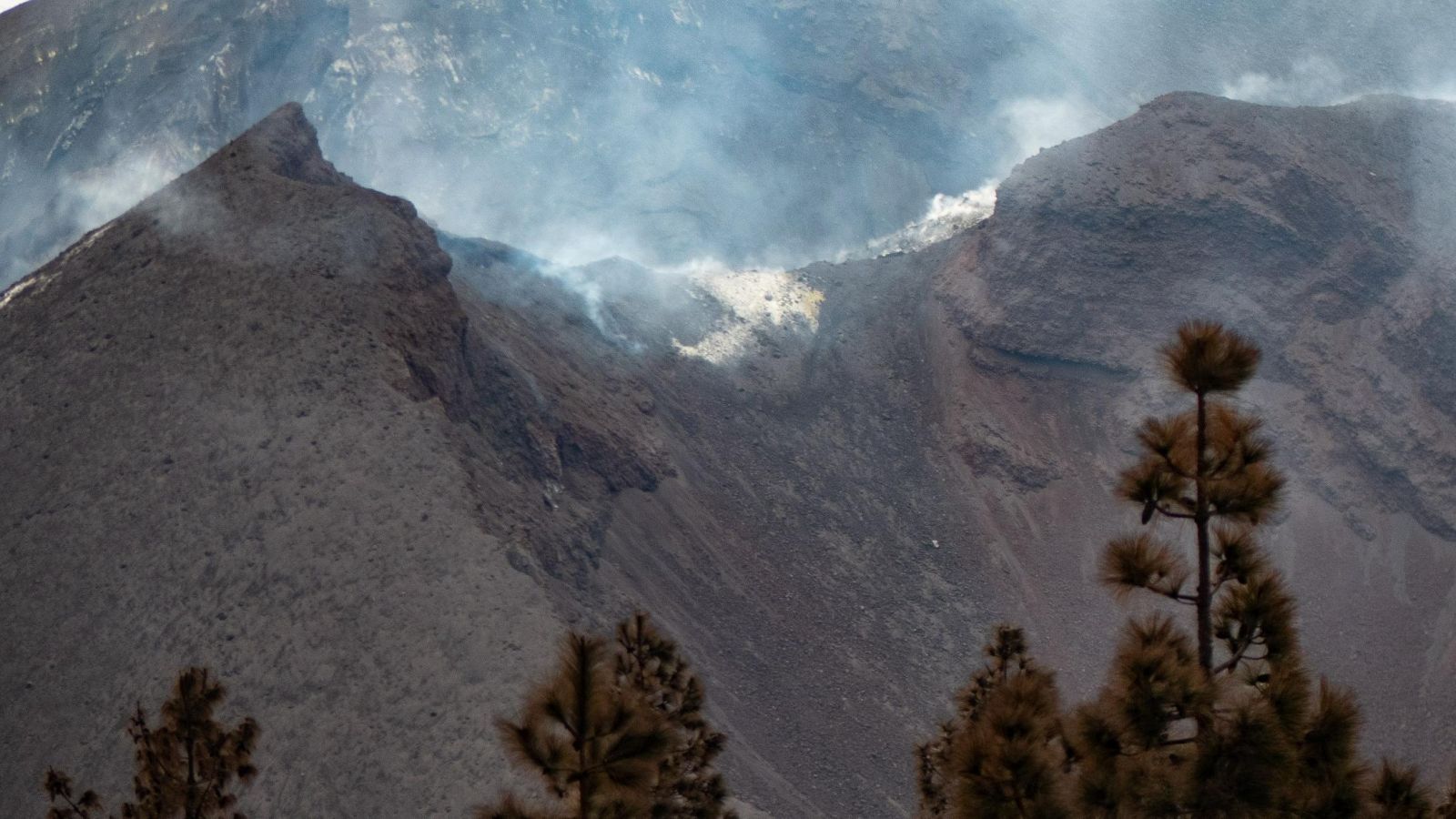 Presidente de Canarias: "Adquiriremos más de 100 viviendas" | Ver
