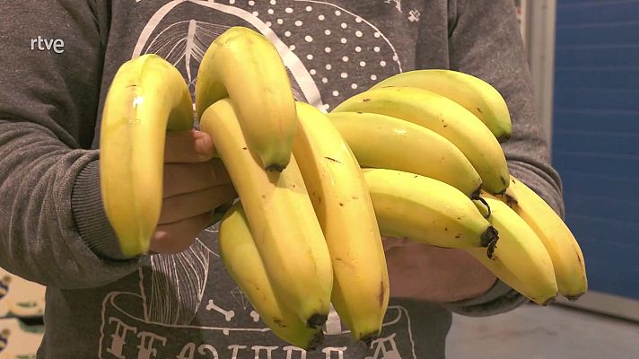Cómo se diferencia un plátano de Canarias de otros tipos