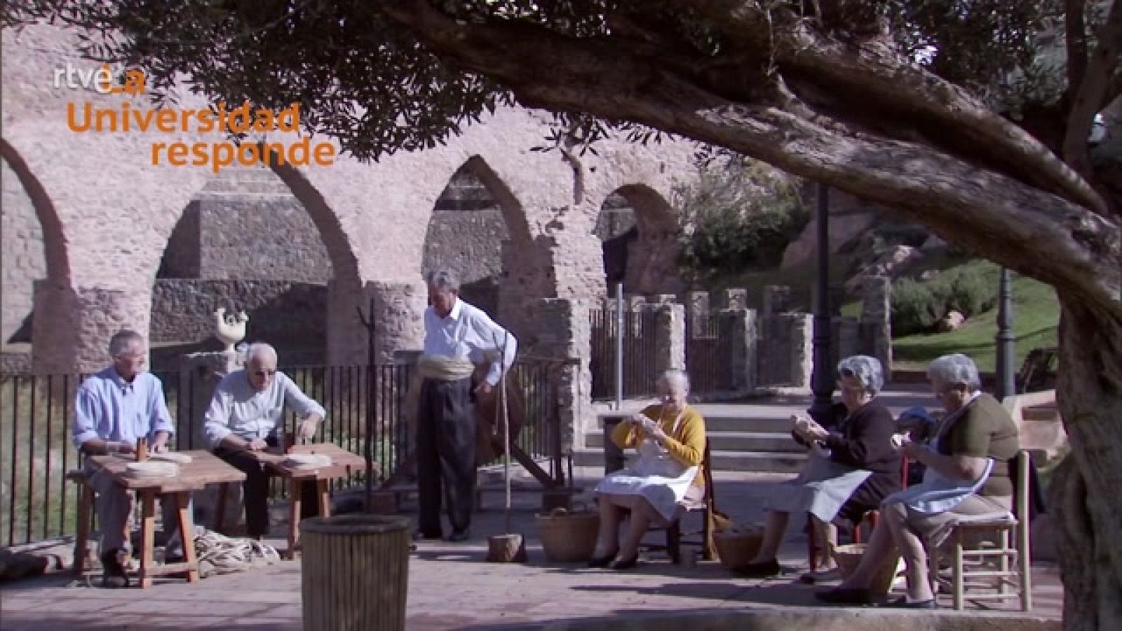 La aventura del saber -  ¿Qué problemas genera el envejecimiento de la población? - ver ahora