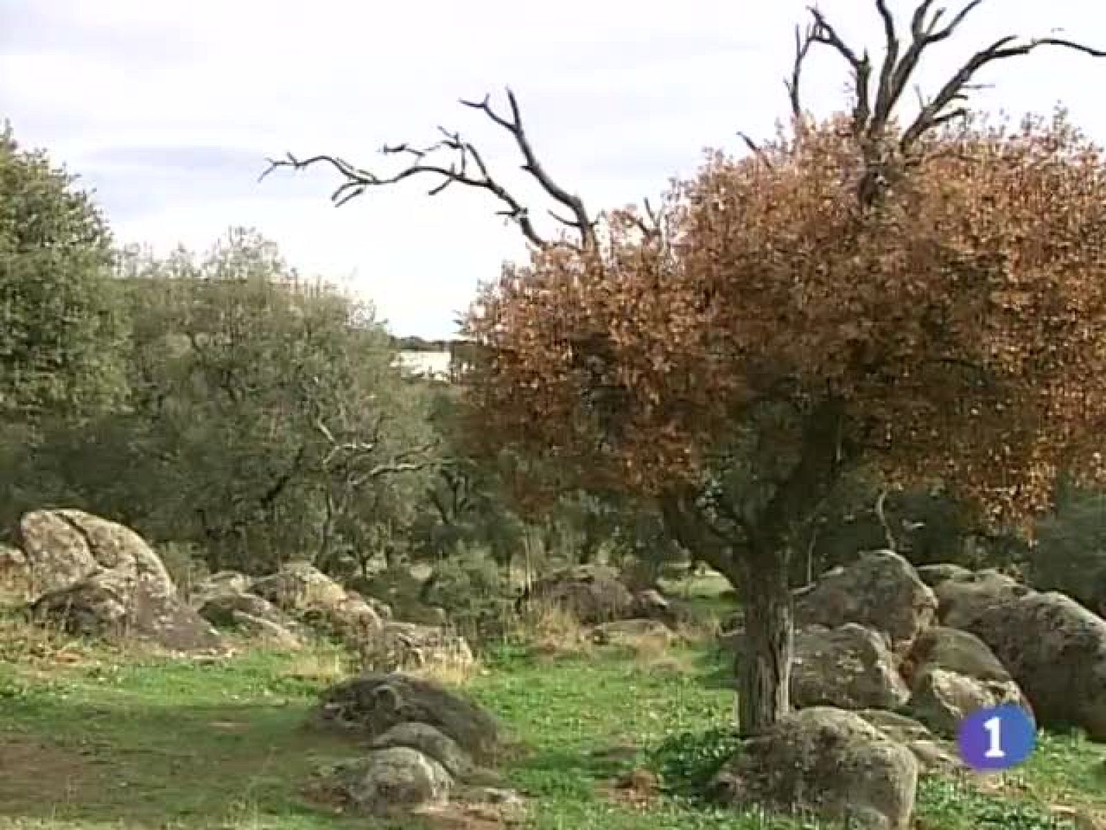 Noticias de Castilla La Mancha. Informativo de Castilla La Mancha. (10/11/09).