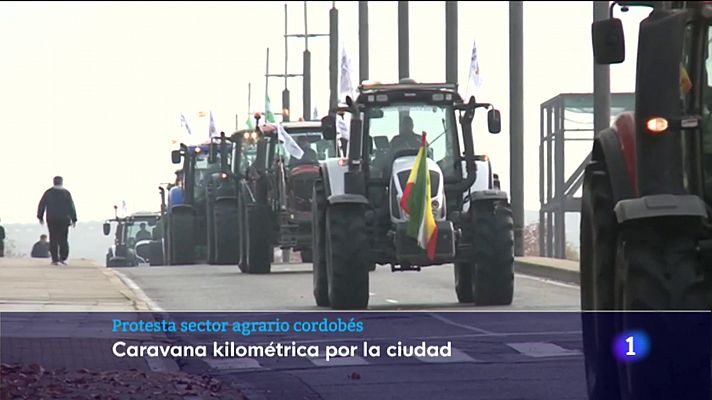 Noticias Andalucía - Protesta del sector agrario cordobés