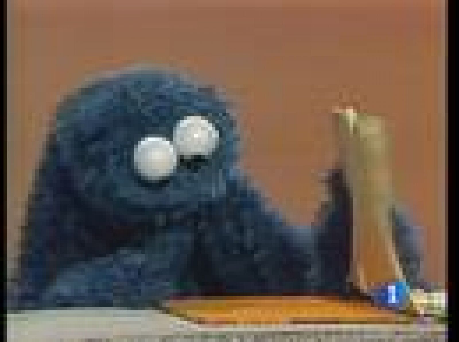 Barrio Sésamo cumple cuarenta años | Ver