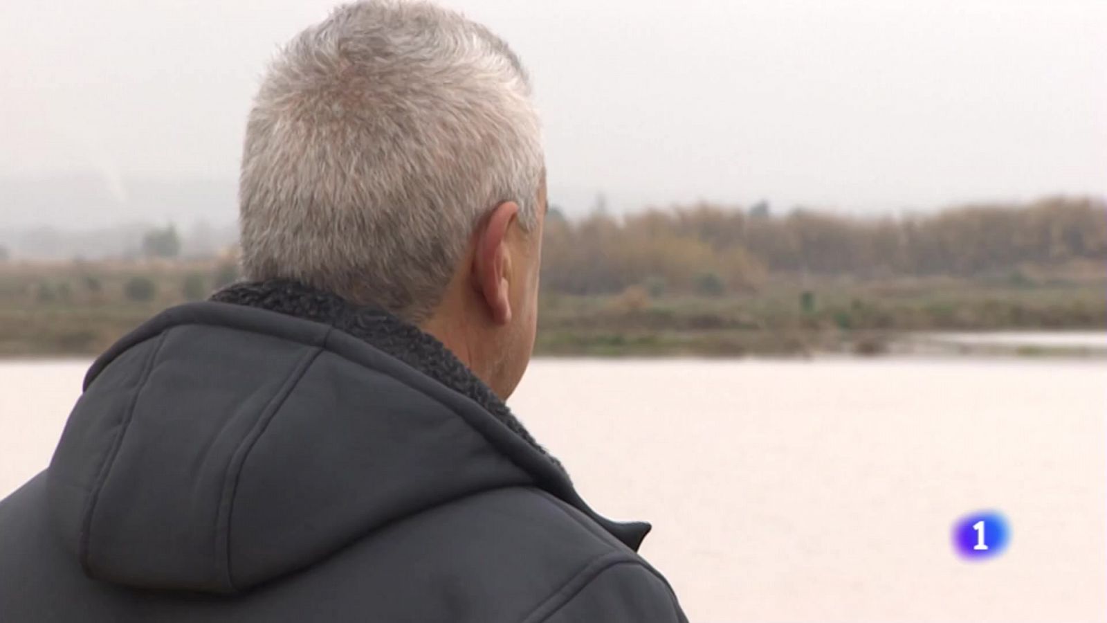 "No podemos aguantar una riada cada tres años", testimonio de un agricultor de la Ribera del Ebro