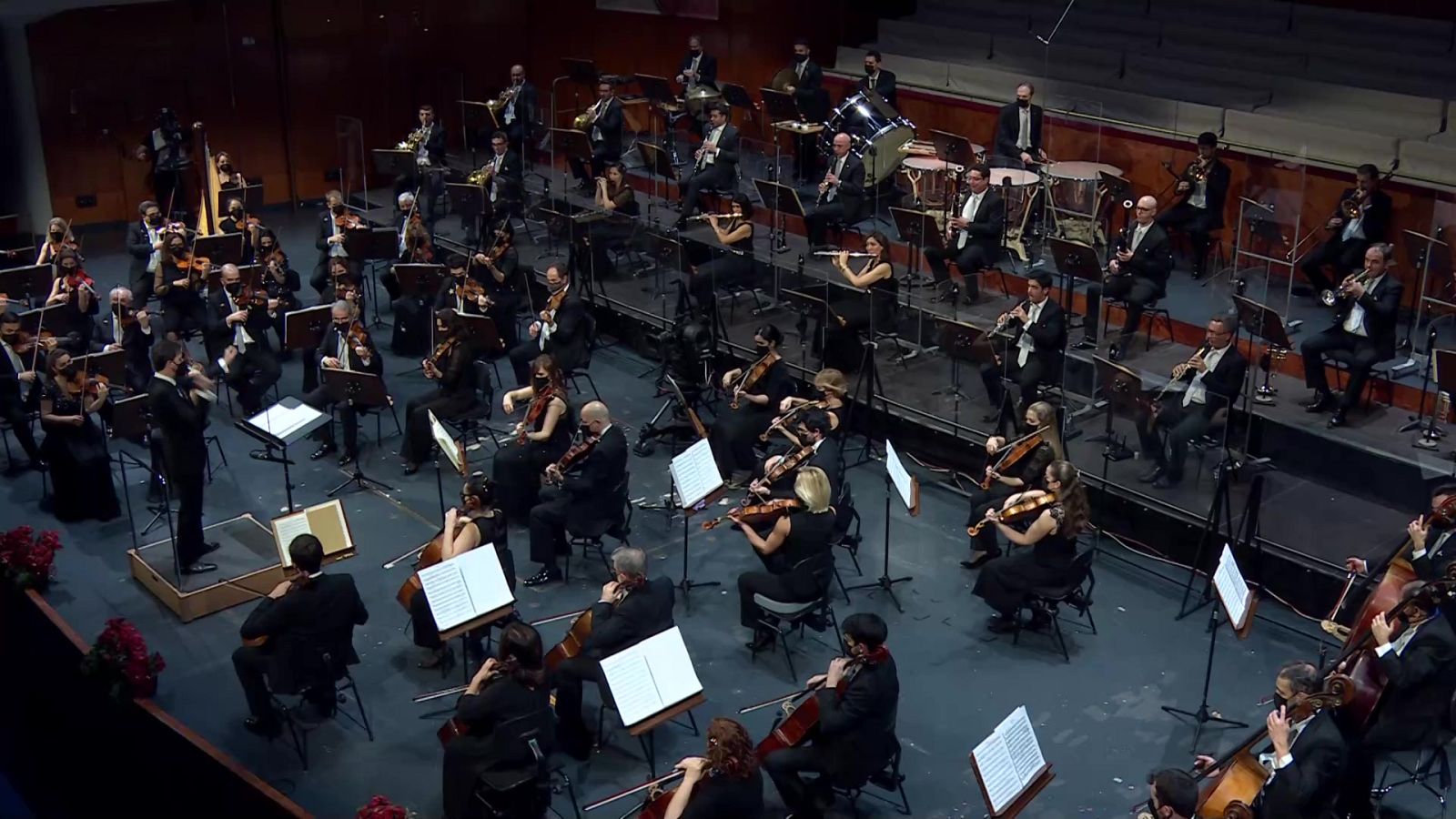 Los conciertos de La 2 - Concierto de Navidad de la OSRTVE - ver ahora