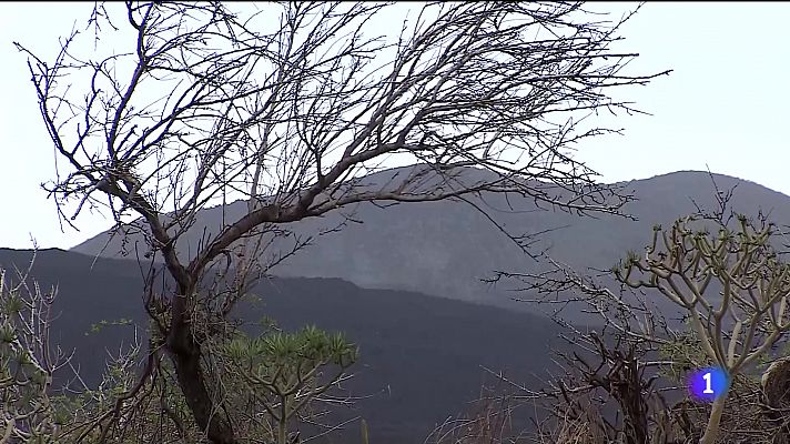 Canarias en 2' - 26/12/2021