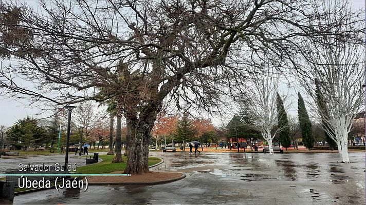 El tiempo - Intervalos de viento fuerte en litorales y zonas altas del noroeste peninsular, Pirineos, sistema Ibérico, sierras del este peninsular y el entorno de Alborán