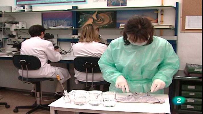 Paisajes de la historia - Investigación criminal forense