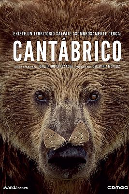 Somos Documentales - Cantábrico: Los dominios del oso pardo