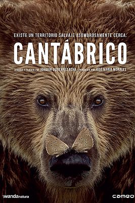 Cantábrico: Los dominios del oso pardo