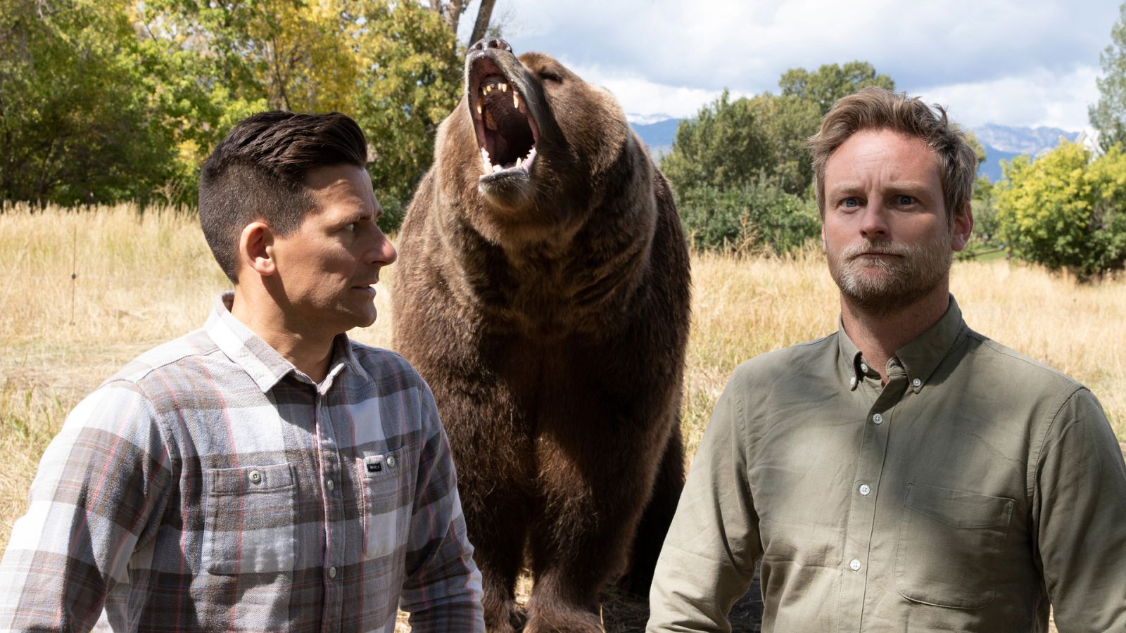 Mito animal - Episodio 4: Osos - ver ahora