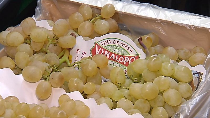 La uva Vinalopó encarece su precio un 60 % antes de fin de año - Ver ahora