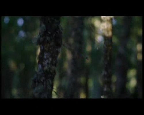 Disco del año 2009 - Amaia Montero - Te voy a decir