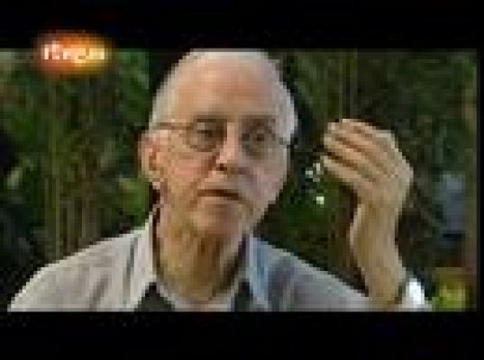 En portada - La lucha conta la esclavitud