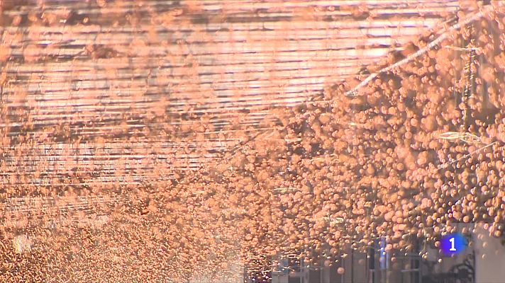 Telediario Fin de Semana - ¿Han cambiado nuestros propósitos de Año Nuevo?