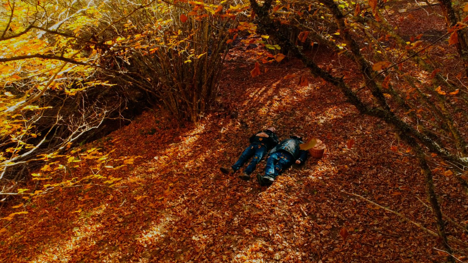 El señor de los bosques - Fuente del Cobre, Palencia - ver ahora