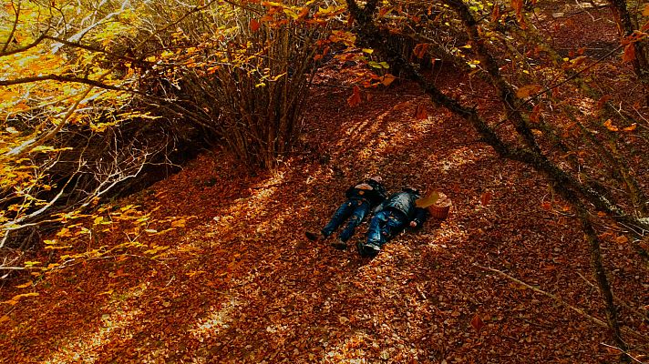 El señor de los bosques - Fuente del Cobre, Palencia