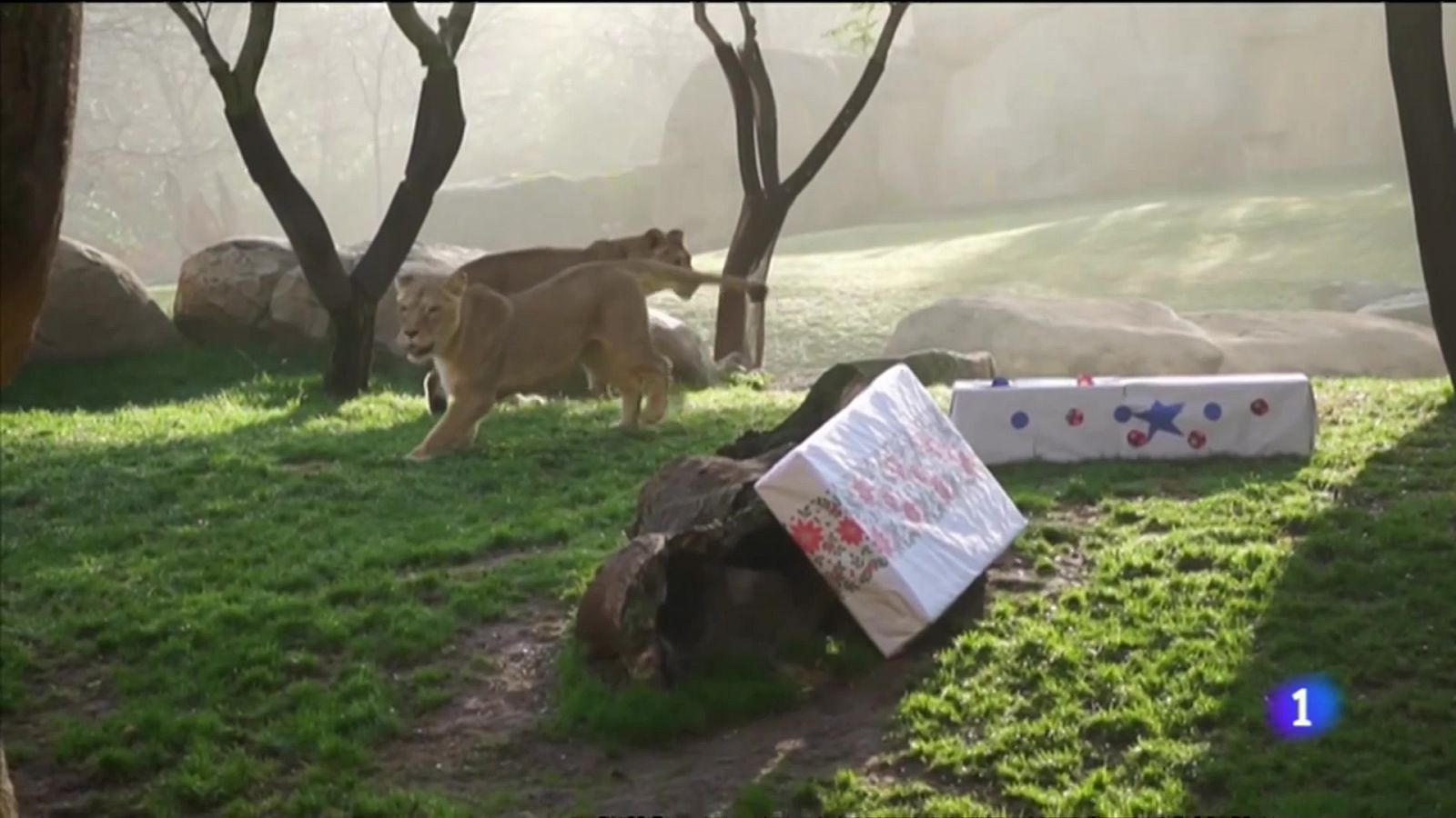 L'Informatiu Comunitat Valenciana 2 - 04/01/22 ver ahora