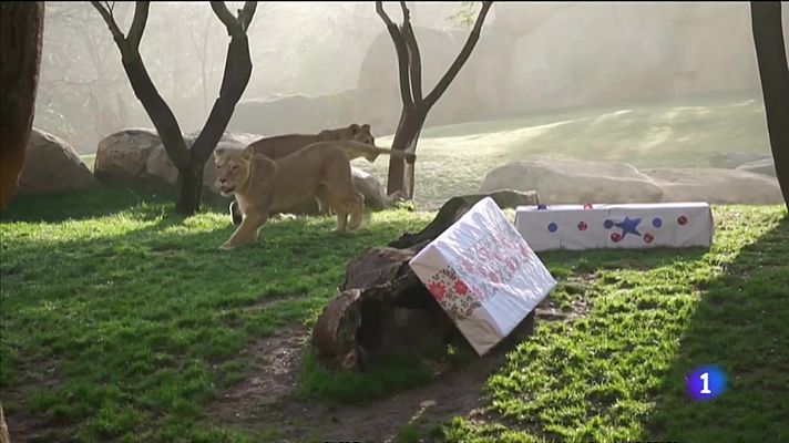 L'informatiu - Comunitat Valenciana - L'Informatiu Comunitat Valenciana 2 - 04/01/22