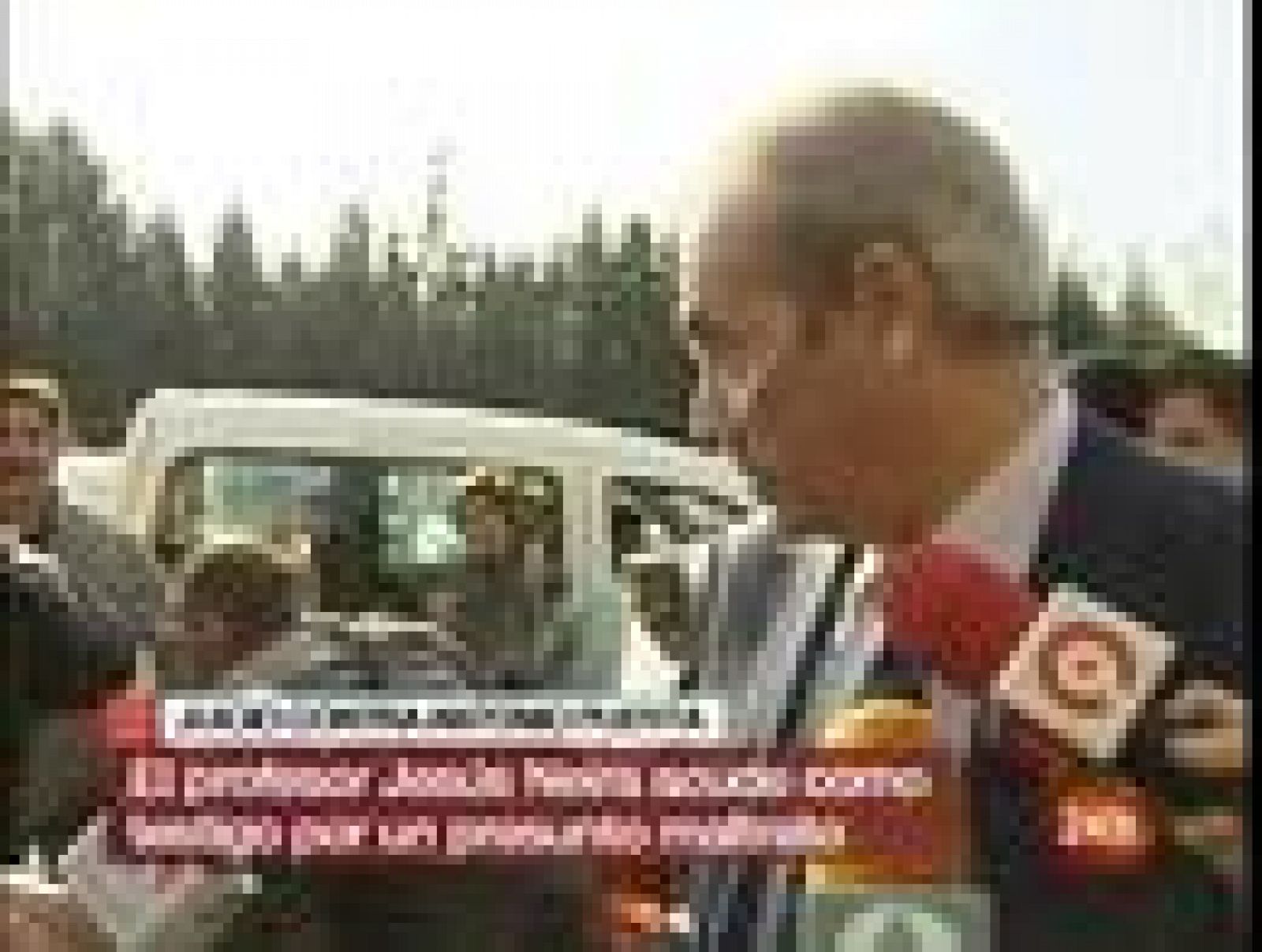 "Una agresión como la copa de un pino" | Ver