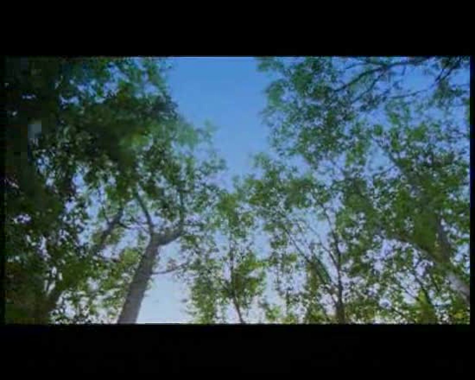 Disco del año 2009 - Juego de dos - Castillos en el aire - Disco del año 2009 | Ver