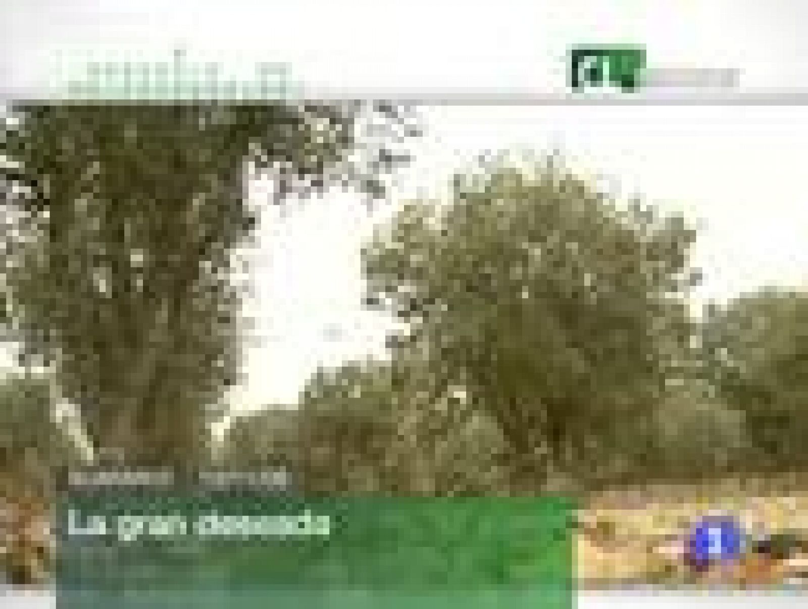 Noticias Castilla y León. Informativo Territorial de Castilla y León. (12/11/09)