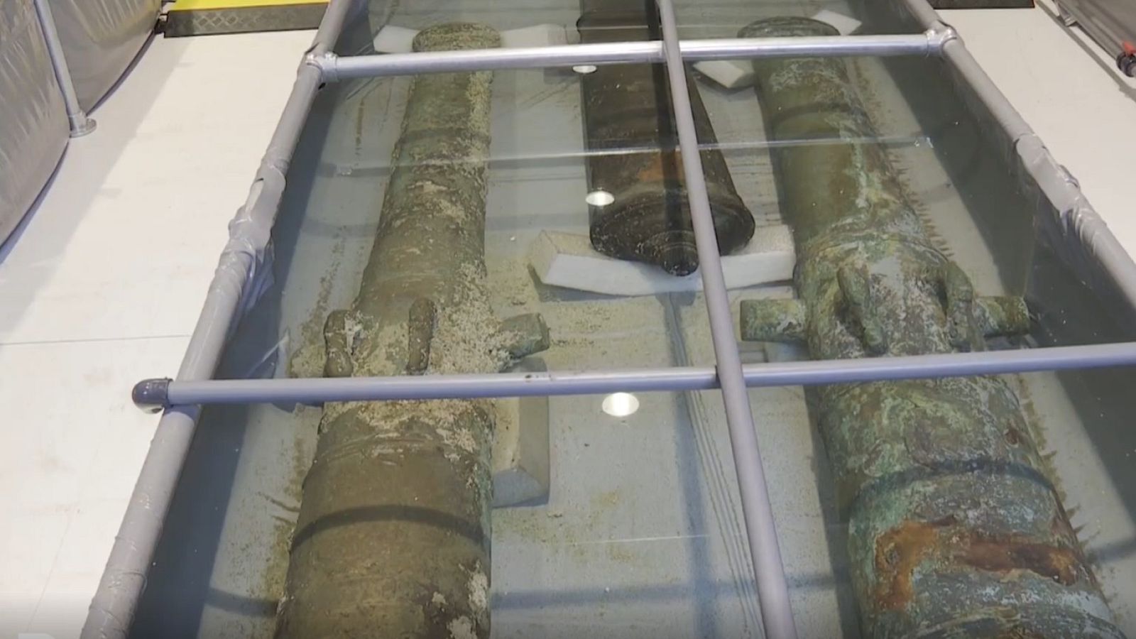 Tesoros marinos en Portugal | Ver