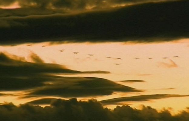 Ciencia y tecnología en Rtve.es - El cambio climático en Gallocanta