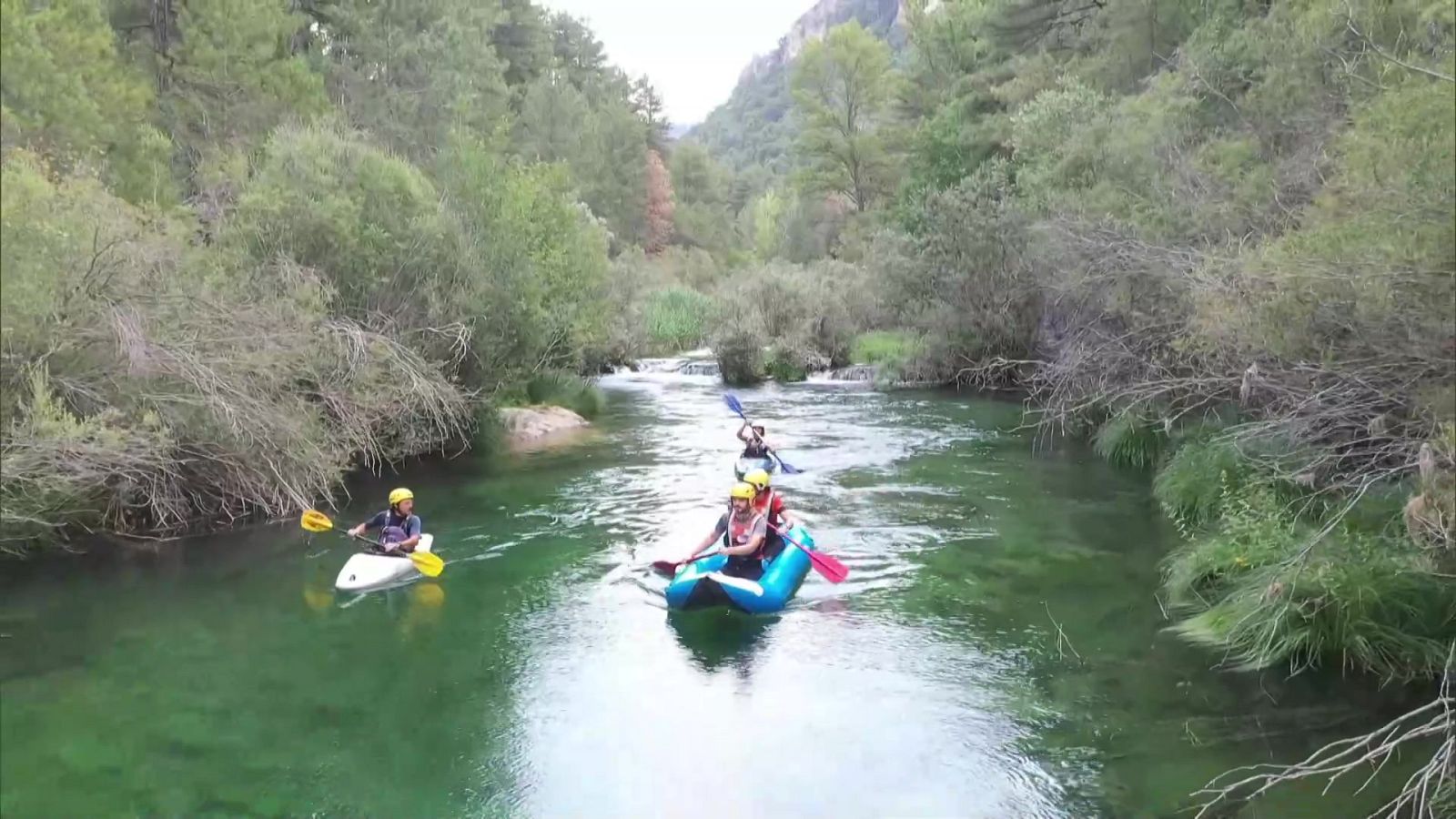 Agrosfera - 08/01/22 - ver ahora