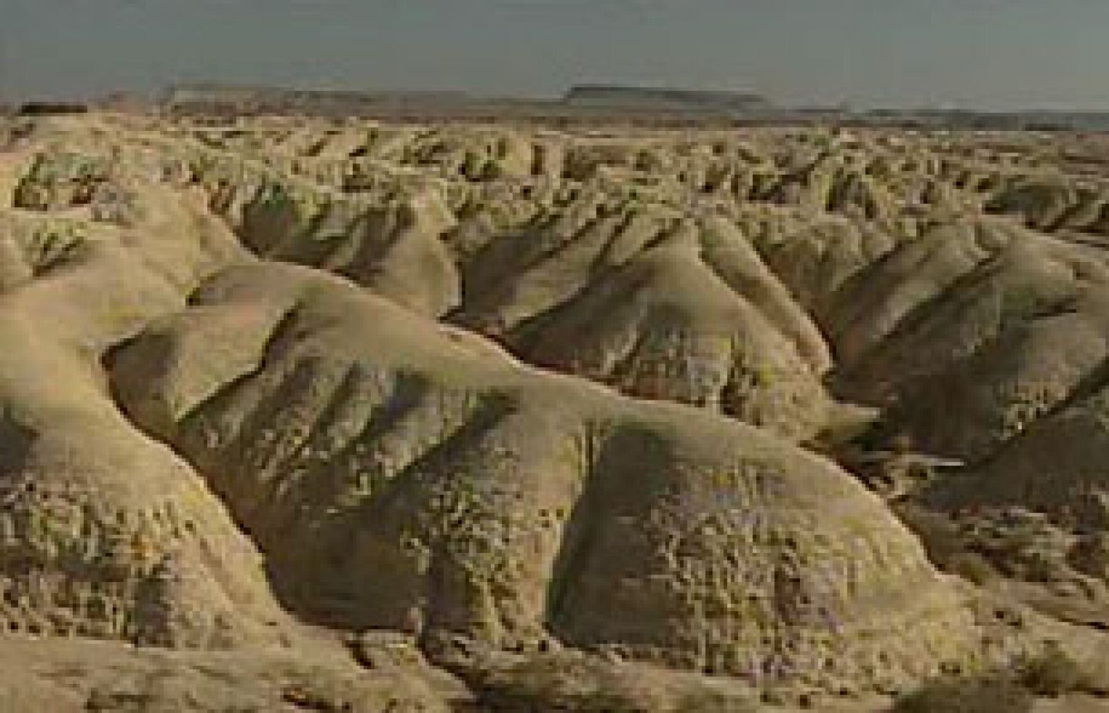 Zoom Tendencias - El pan de Lujo, un hotel en las Bardenas Reales y un garito canalla, El burlesque - Zoom Tendencias | Ver