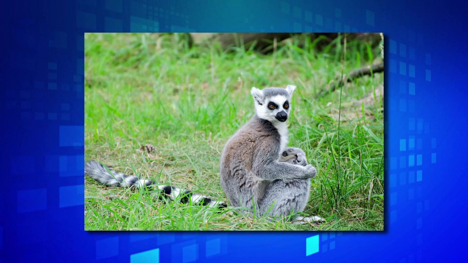 Saber y ganar. Edición de fin de semana - 08/01/22 - ver ahora