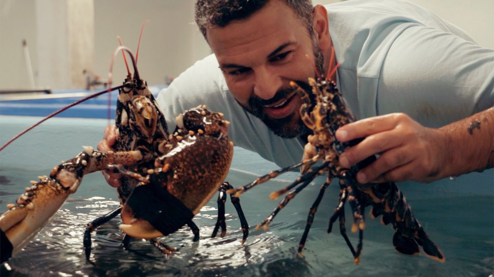 Las rutas d'Ambrosio - A Mariña lucense, cantos de sirena - ver ahora