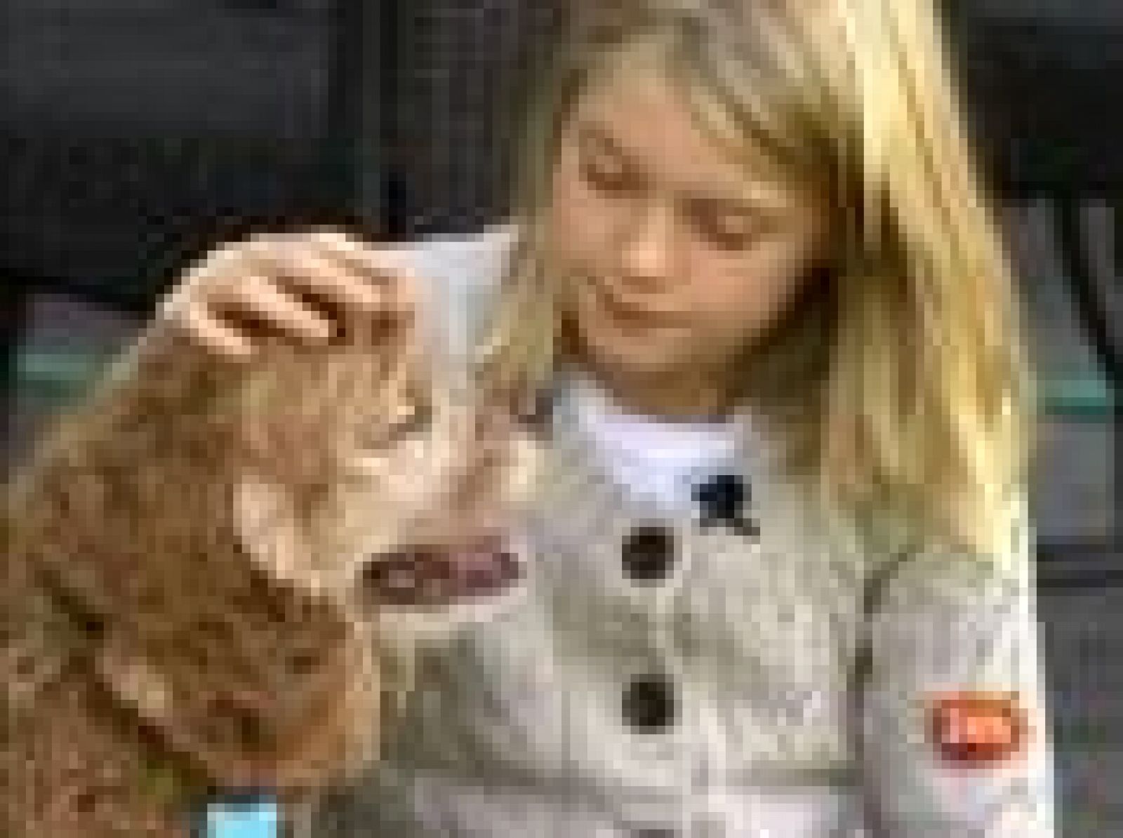 Una niña de 12 años de Estados Unidos no para de estornudar desde hace dos semanas y los médicos no pueden ayudarla para detenerlos.