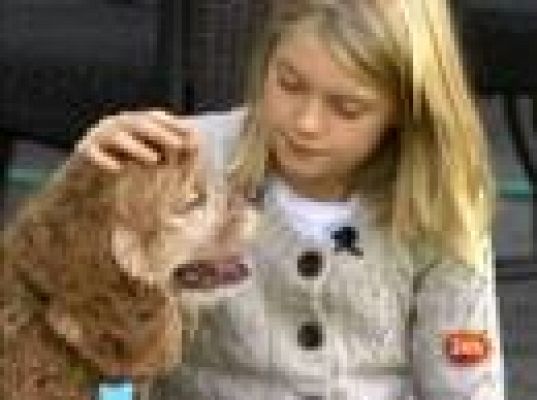  - No puede dejar de estornudar