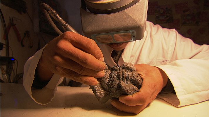 Vida primigenia - La conquista