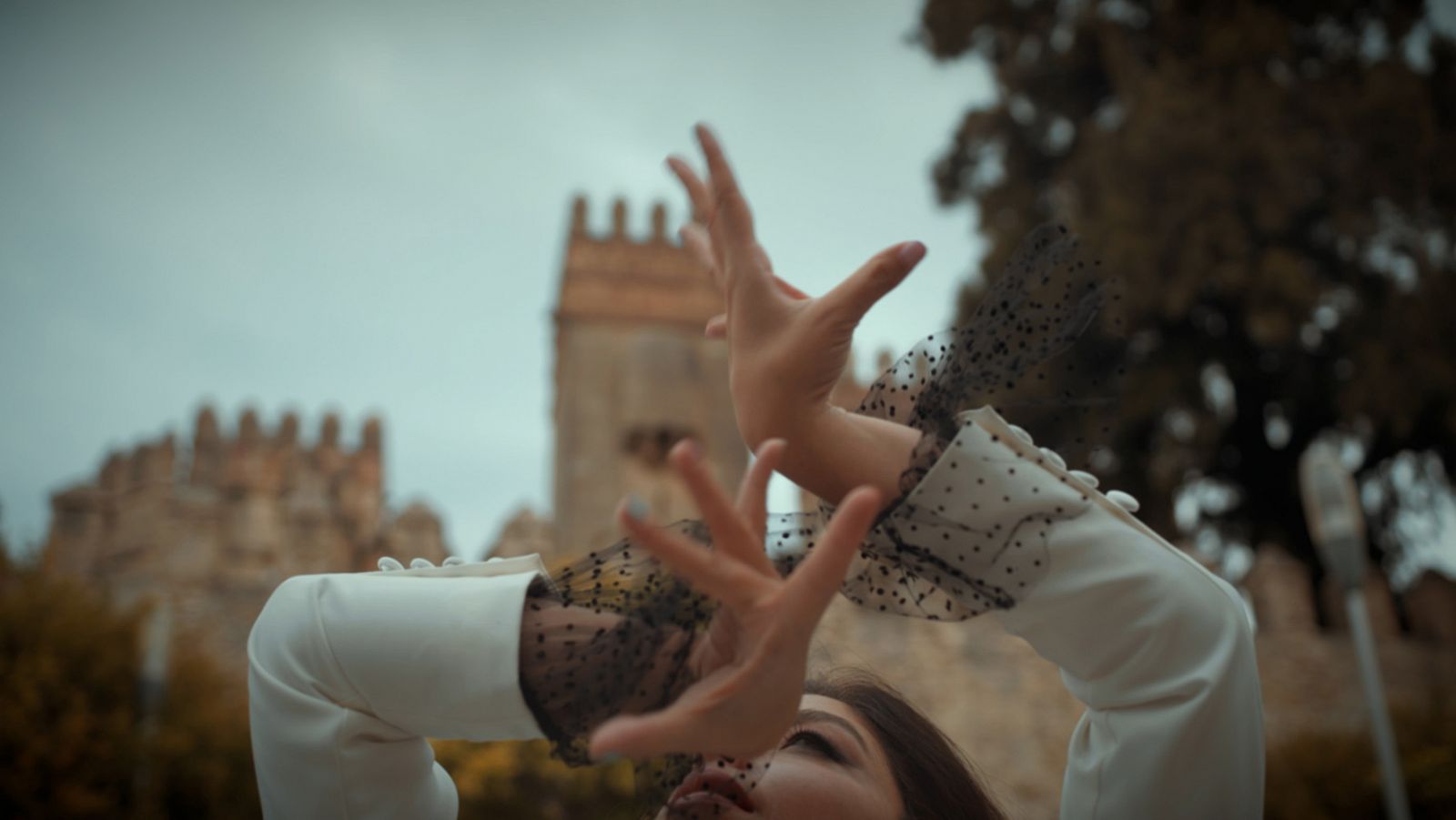 Caminos del flamenco - 'Cádiz y sus puertos'