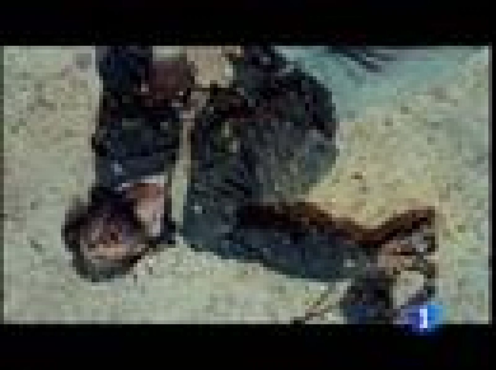 Películas que llegan a la cartelera esta semana | Ver