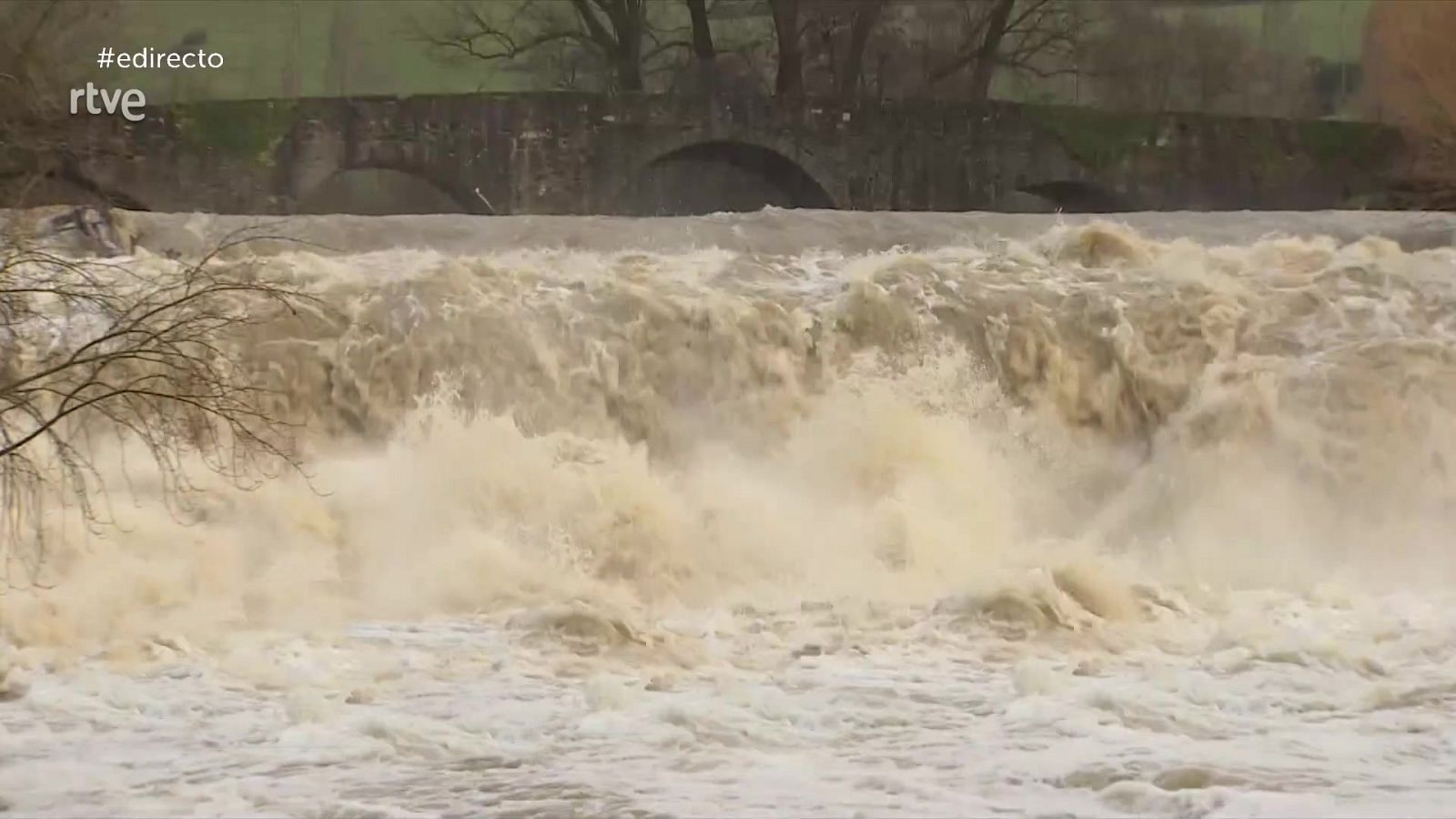 España Directo - 10/01/22 - ver ahora