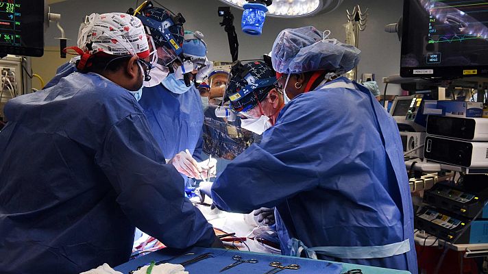 Telediario Matinal - Trasplantan con éxito un corazón de cerdo a un hombre en Estados Unidos