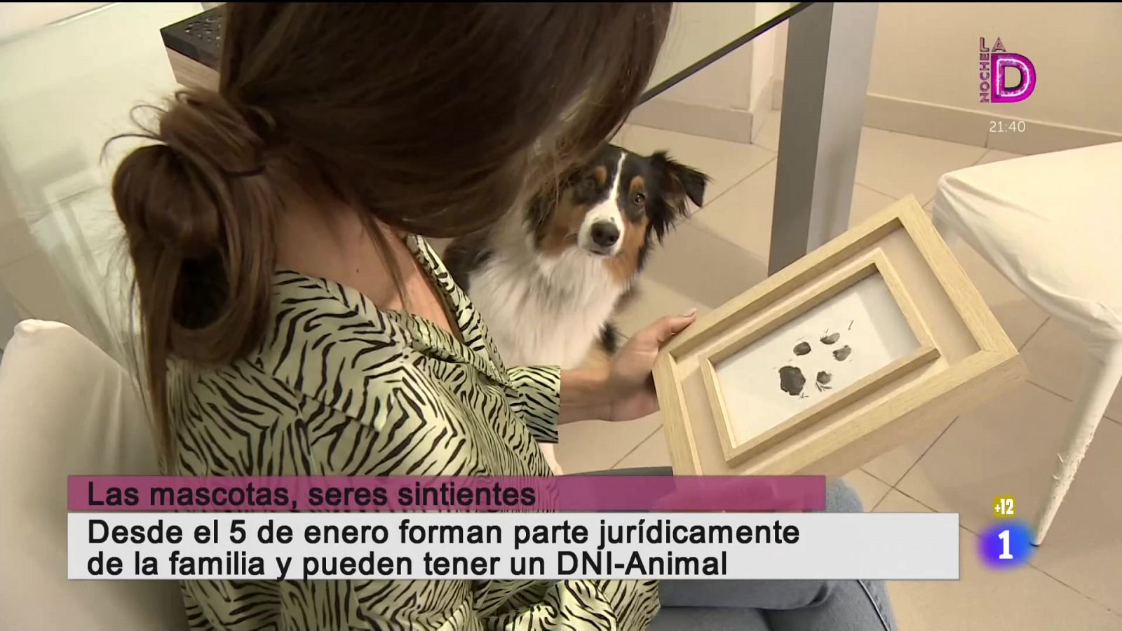 Cerca de ti - 11/01/2022 - Cerca de ti | Ver